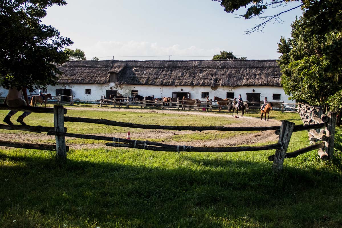 Pozsonyi-Tóth Viktória fotográfus vizsgaremek 