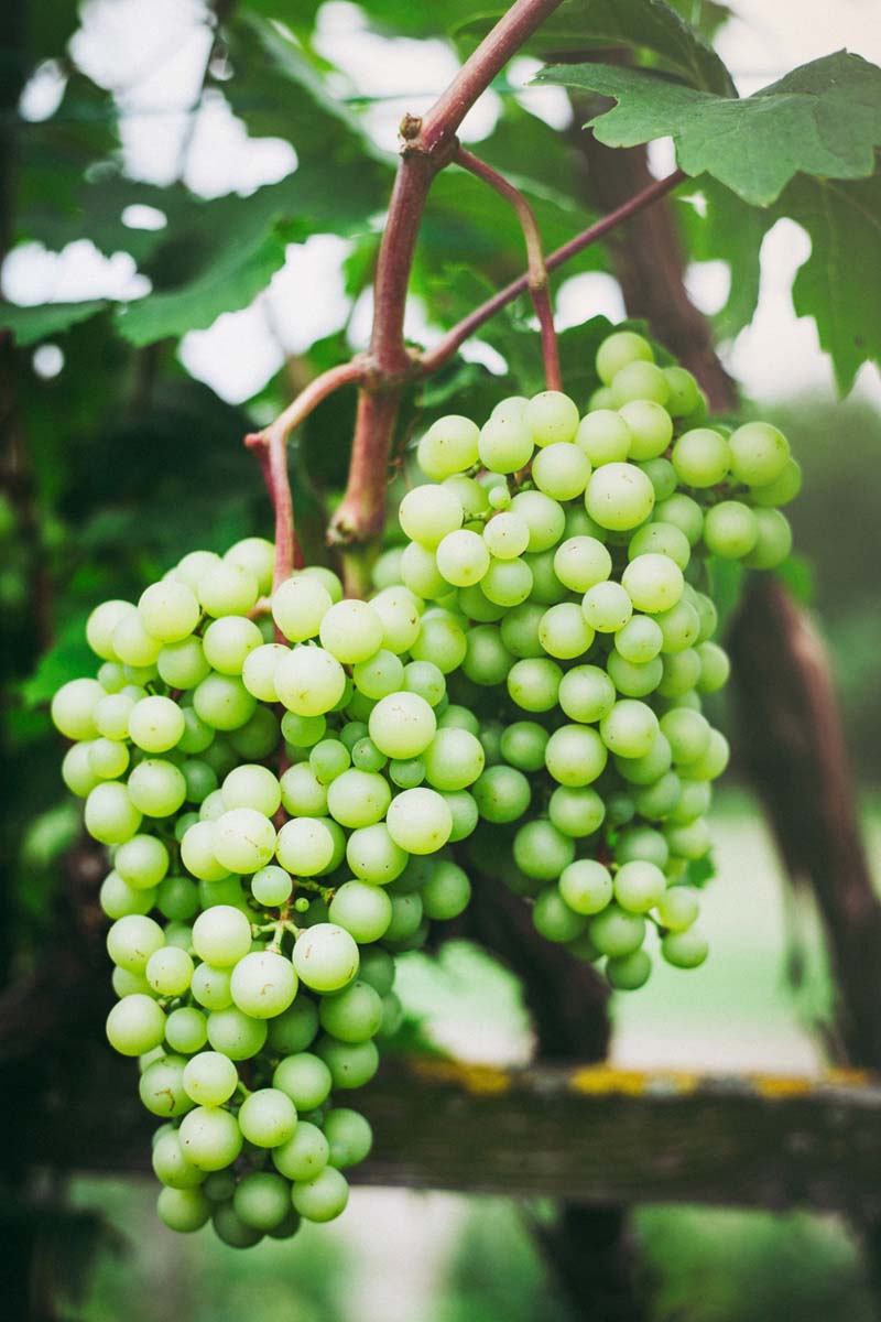 Pozsonyi-Tóth Viktória fotográfus vizsgaremek 