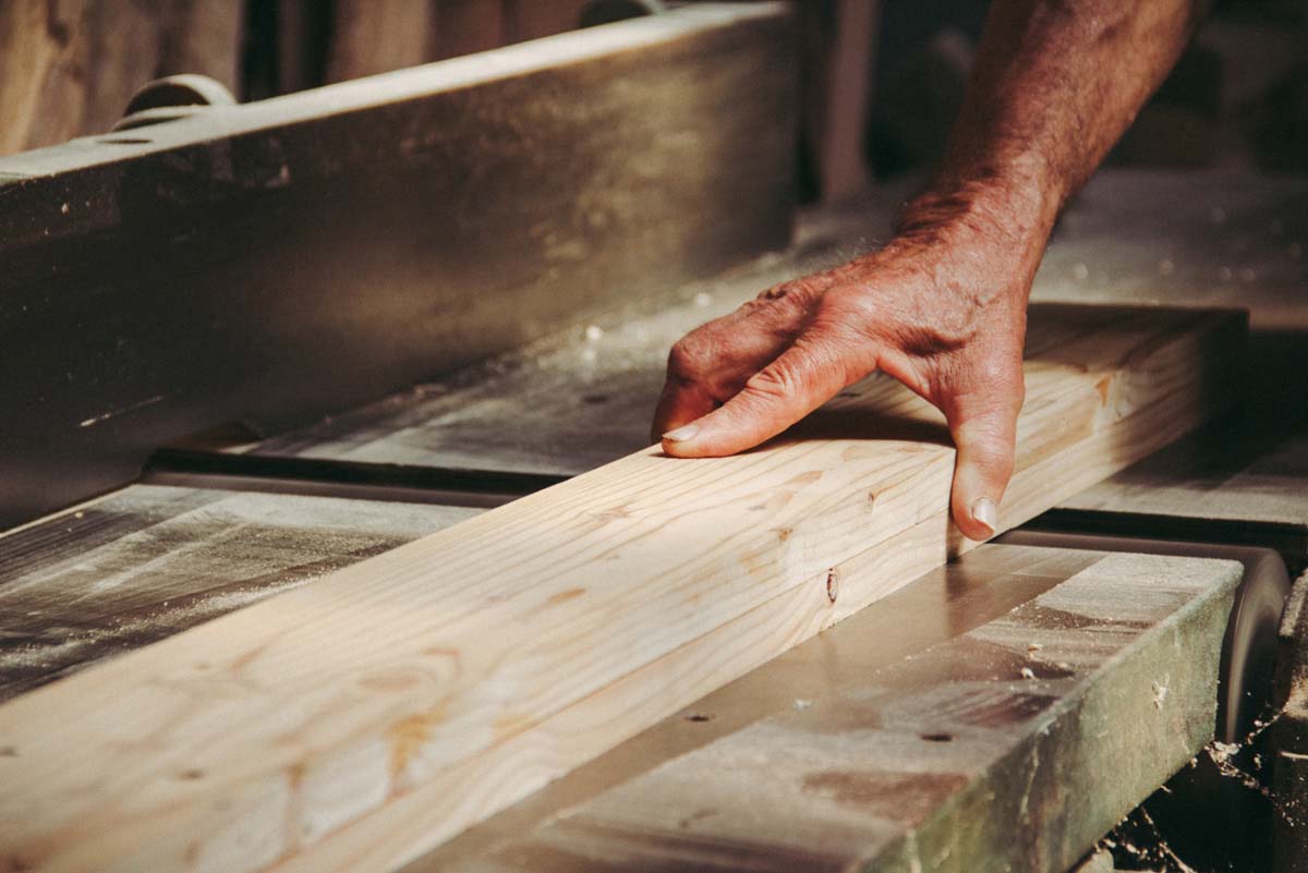 Pozsonyi-Tóth Viktória fotográfus vizsgaremek 