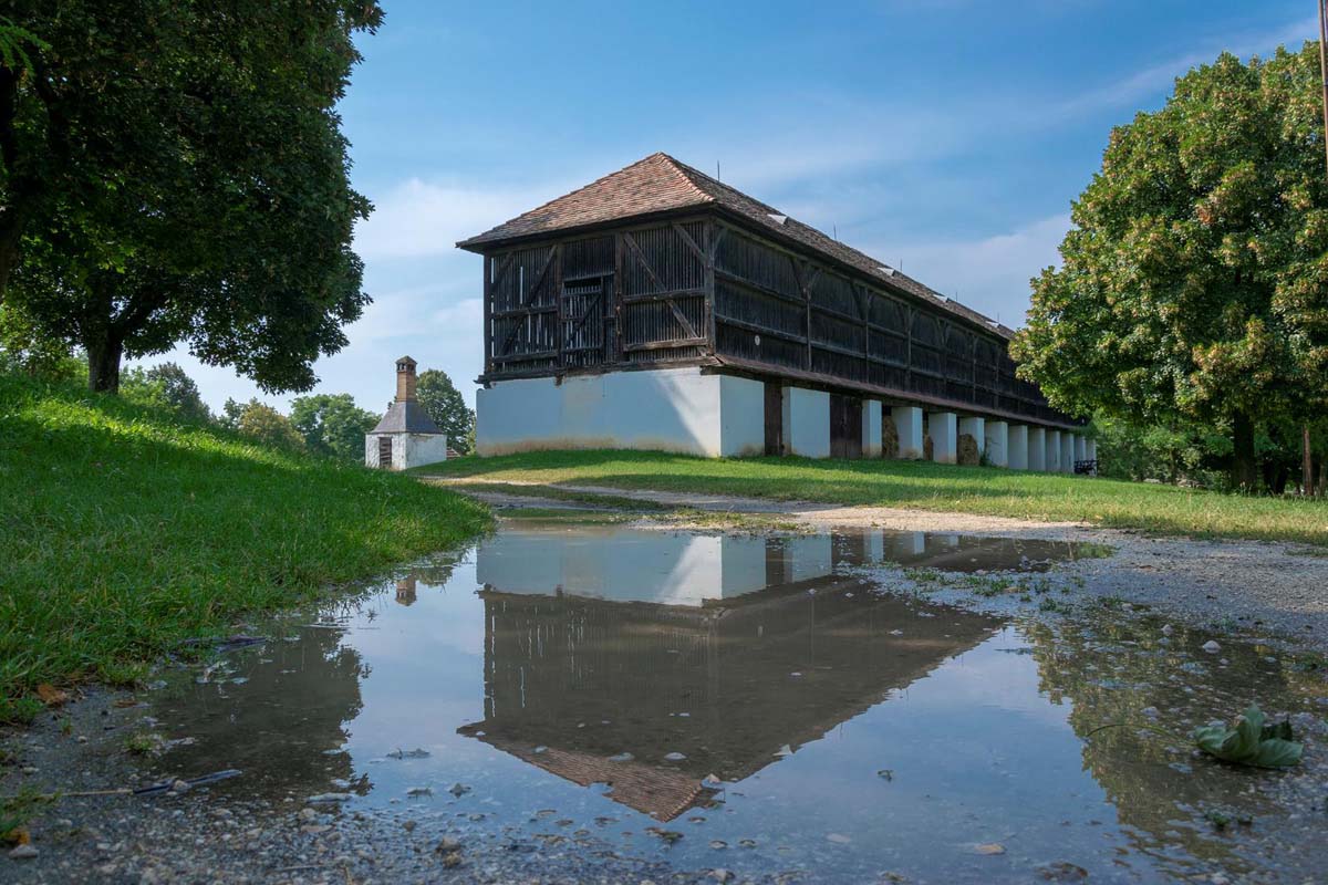 Tóth Kitti fotográfus vizsgaremek 