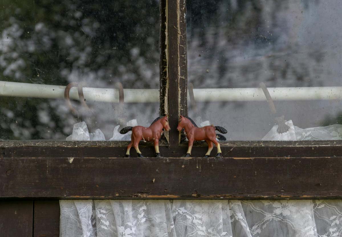 Tóth Kitti fotográfus vizsgaremek 