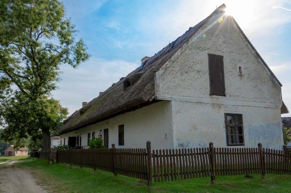 Tóth Kitti fotográfus vizsgaremek 