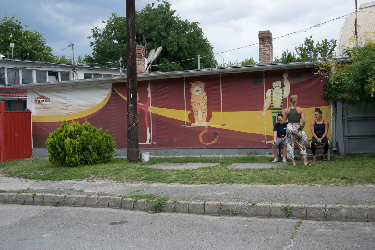 Tóth Kitti fotográfus vizsgaremek 