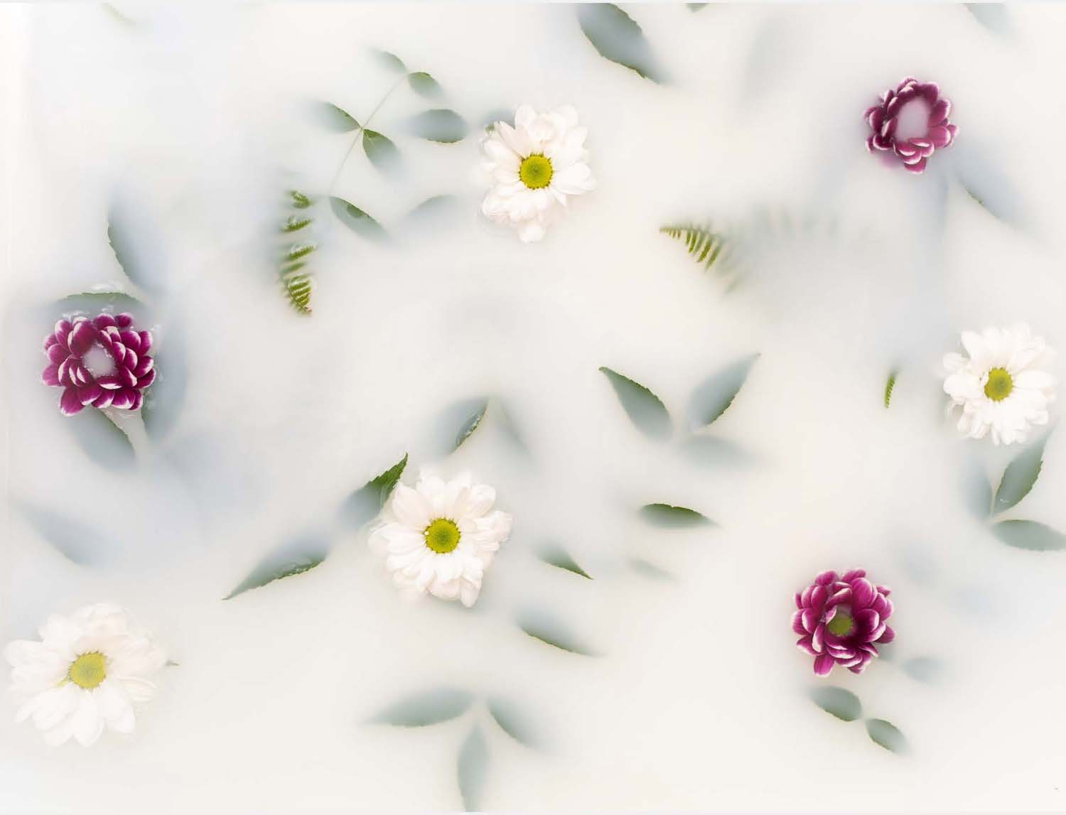 Fónagy Eszter fotográfus vizsgaremek 