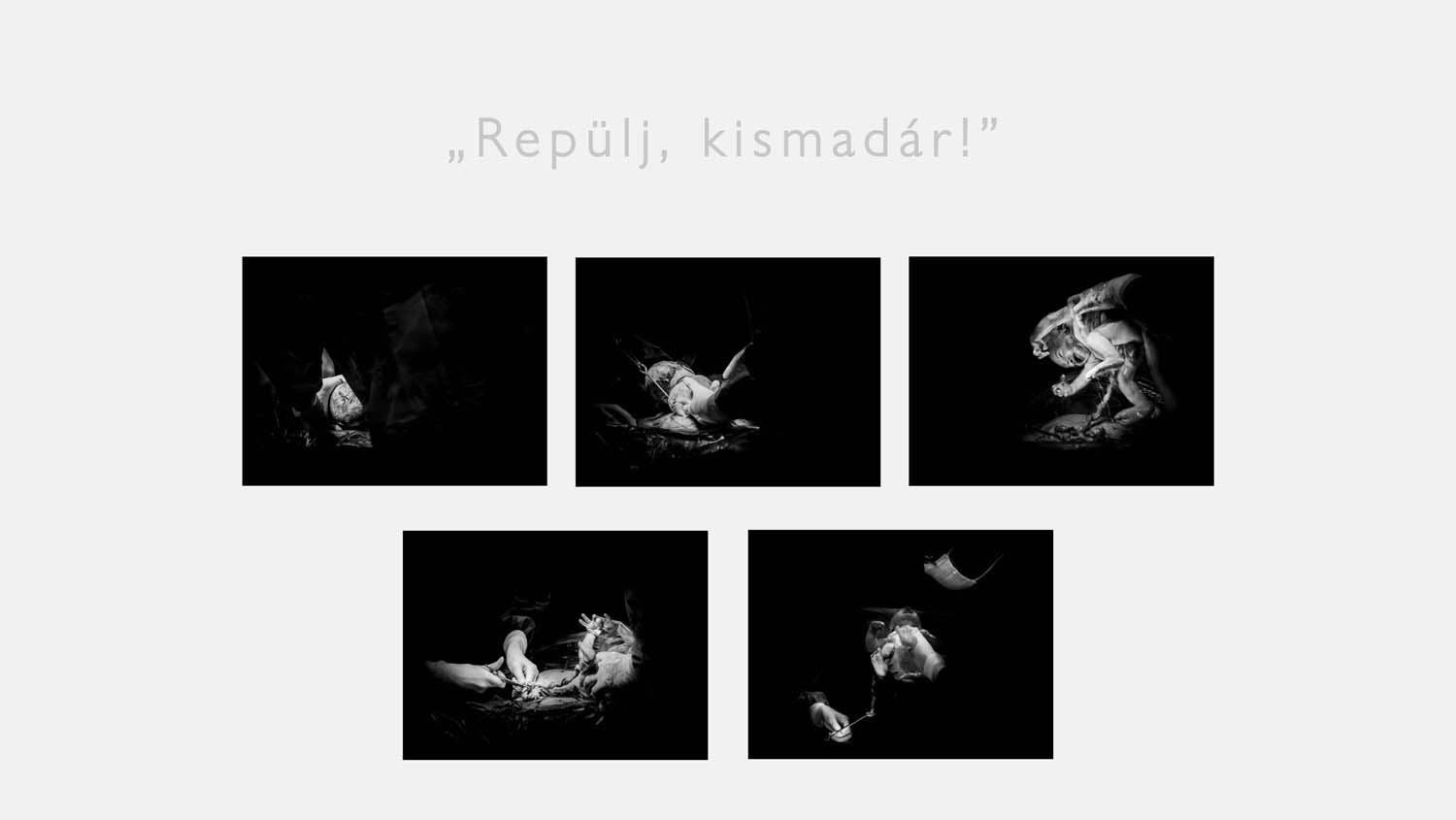 Fónagy Eszter fotográfus vizsgaremek 