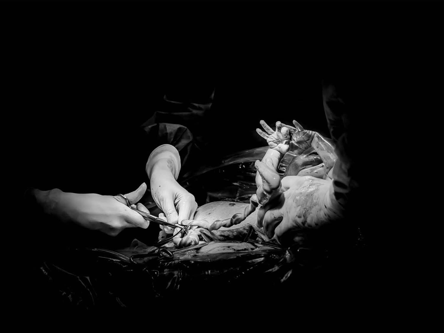 Fónagy Eszter fotográfus vizsgaremek 