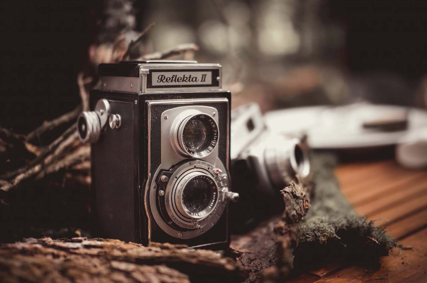 Fónagy Eszter fotográfus vizsgaremek 