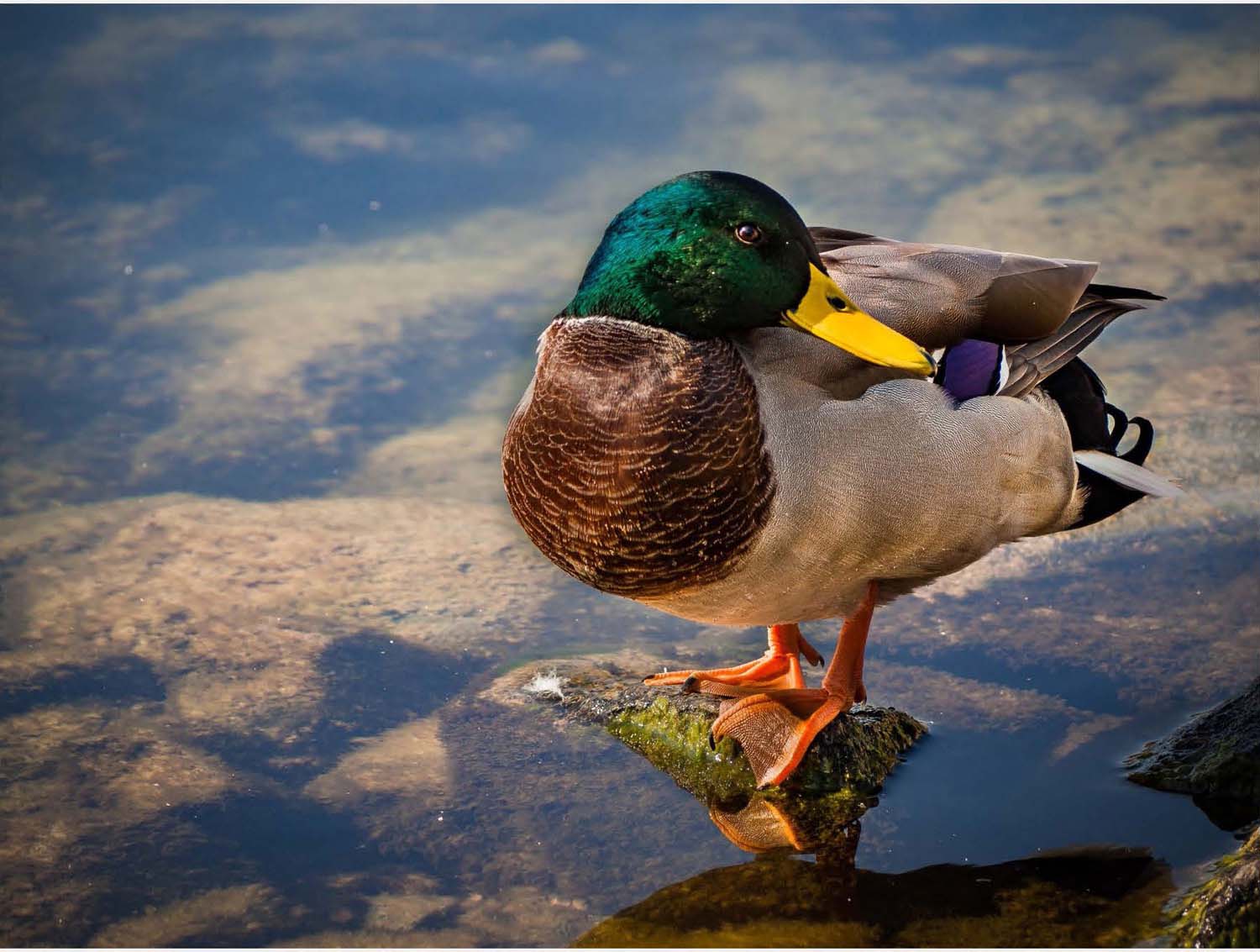 Fónagy Eszter fotográfus vizsgaremek 