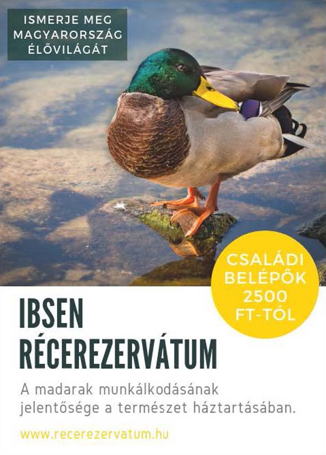 Fónagy Eszter fotográfus vizsgaremek 