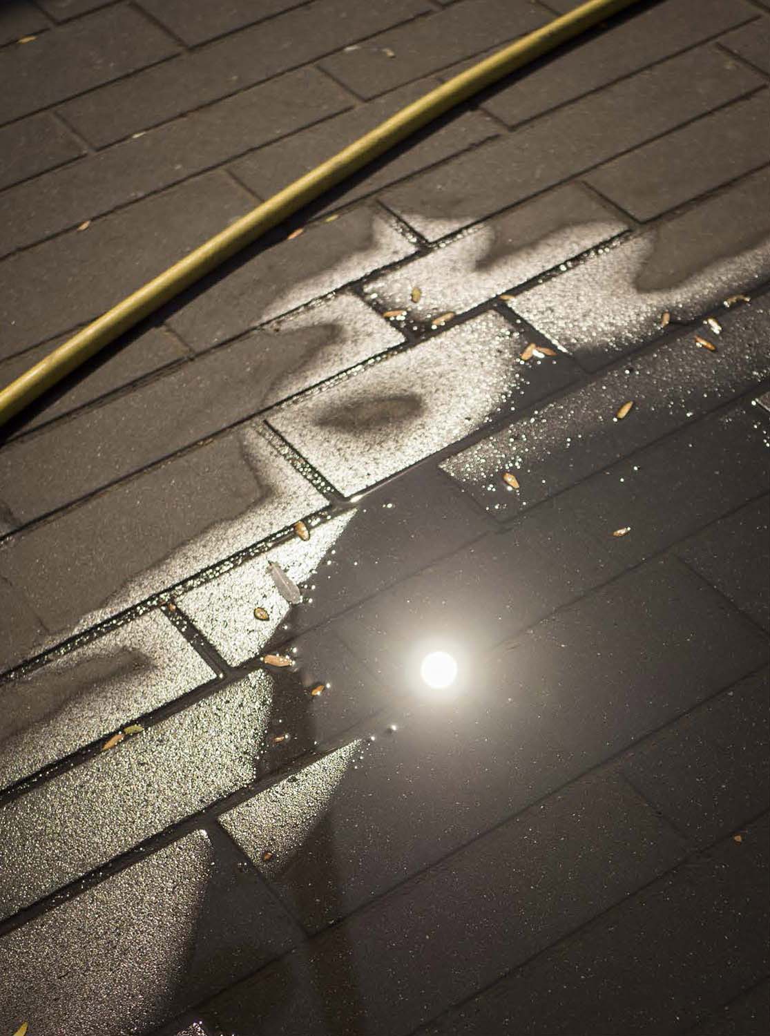 Fónagy Eszter fotográfus vizsgaremek 