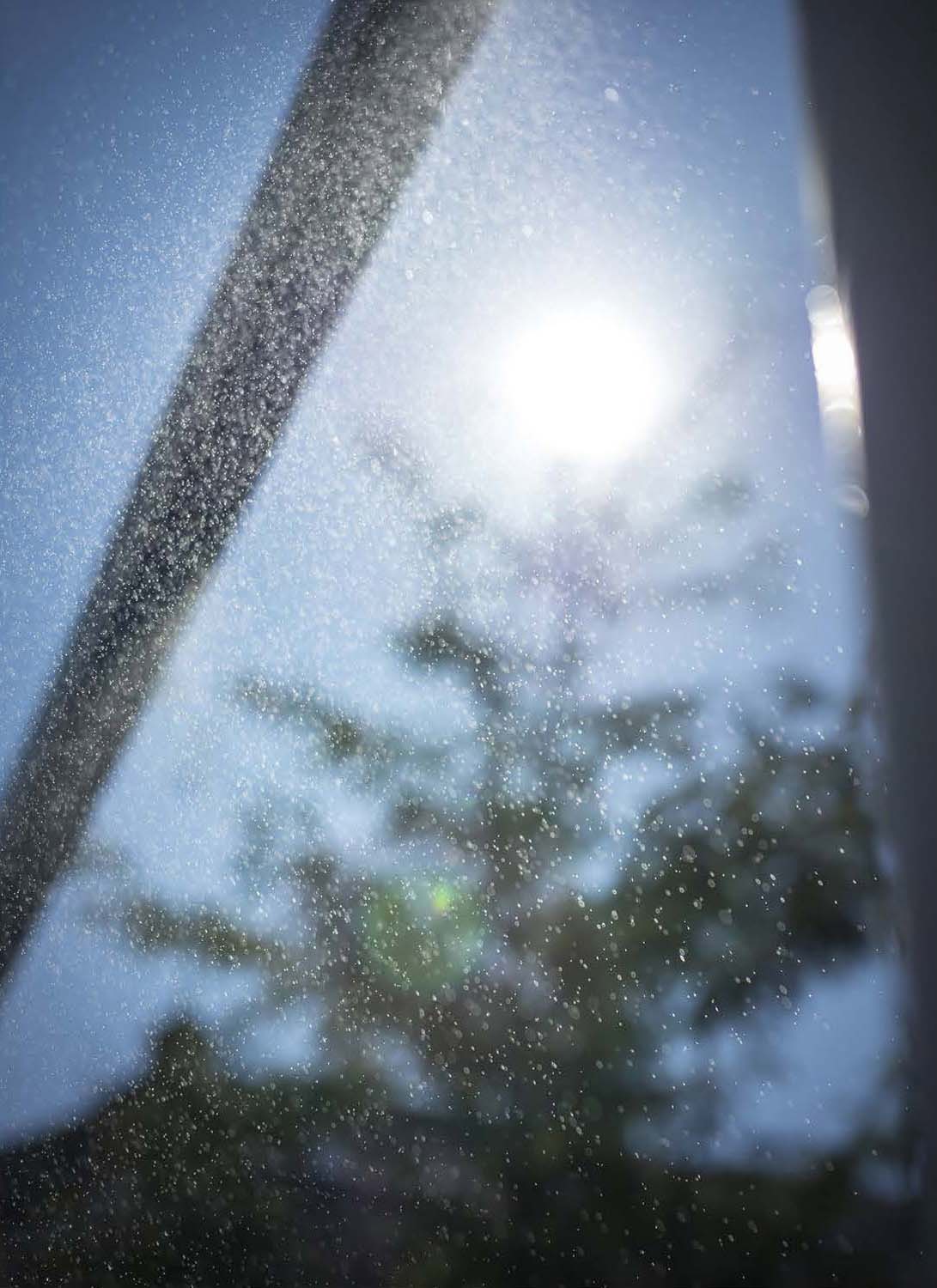 Fónagy Eszter fotográfus vizsgaremek 