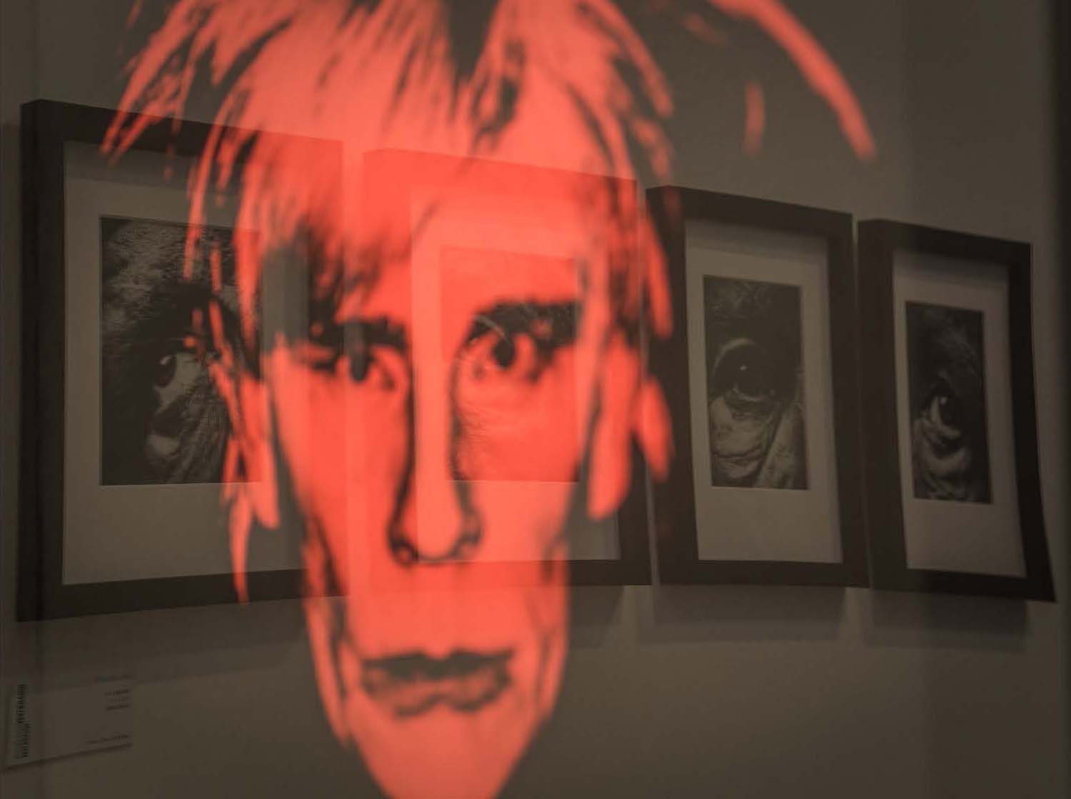 Fónagy Eszter fotográfus vizsgaremek 