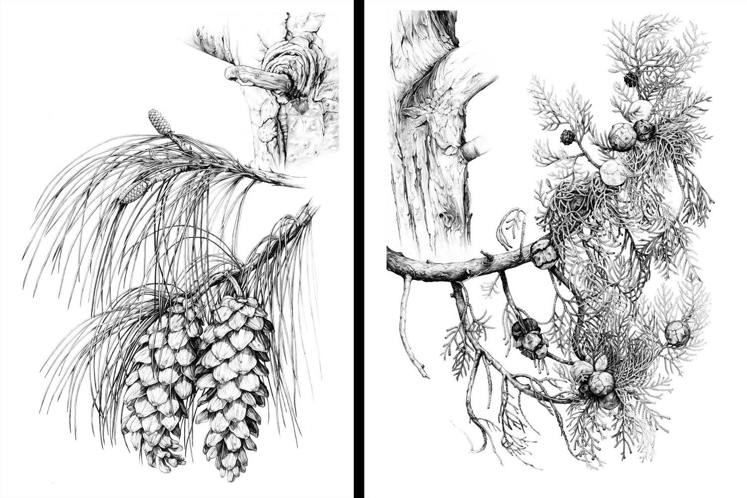 Mátyás Ildikó fotográfus vizsgaremek 