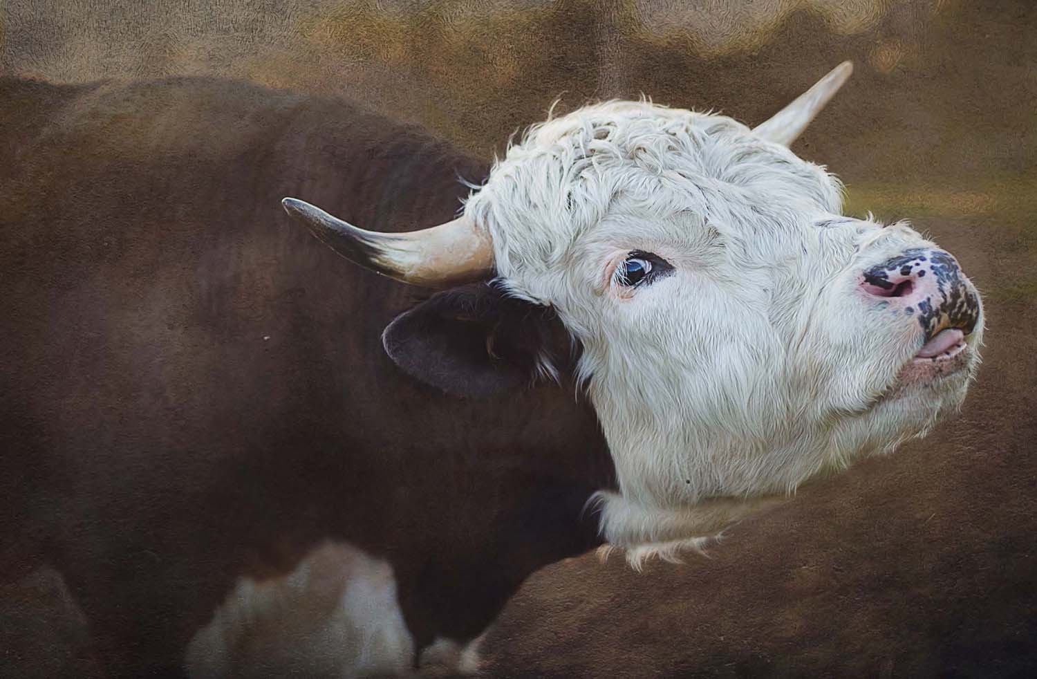 Mátyás Ildikó fotográfus vizsgaremek 