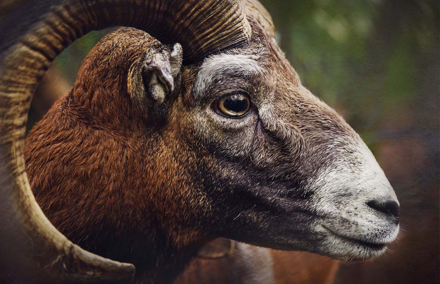 Mátyás Ildikó fotográfus vizsgaremek 