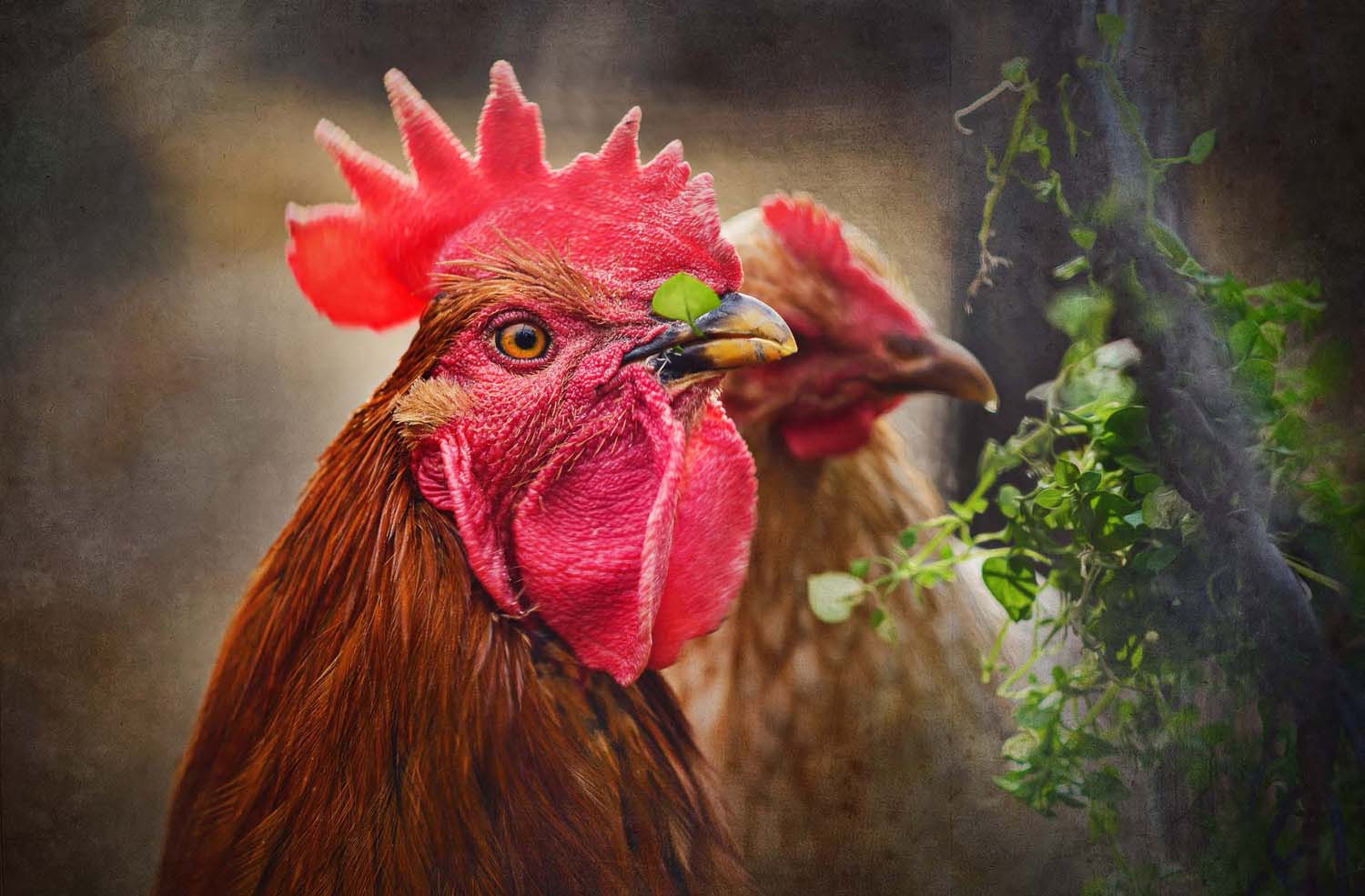 Mátyás Ildikó fotográfus vizsgaremek 