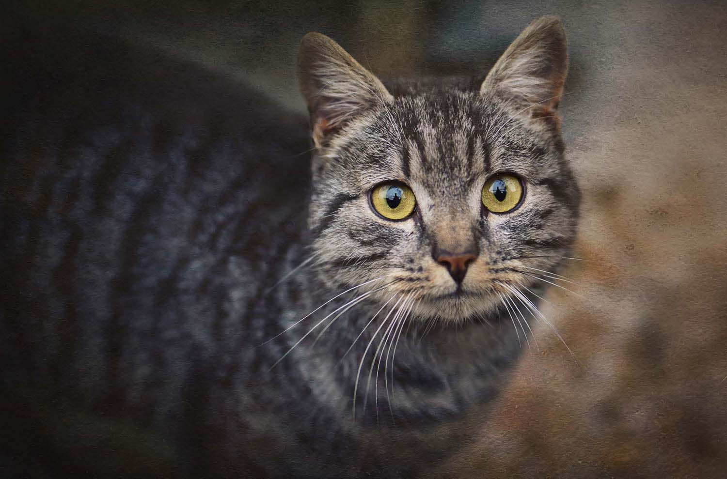 Mátyás Ildikó fotográfus vizsgaremek 