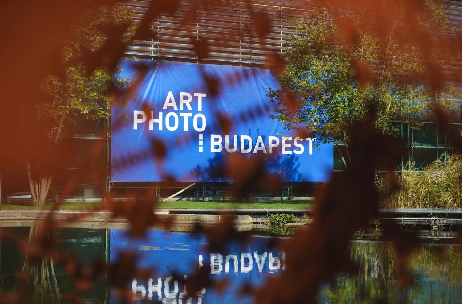 Mátyás Ildikó fotográfus vizsgaremek 