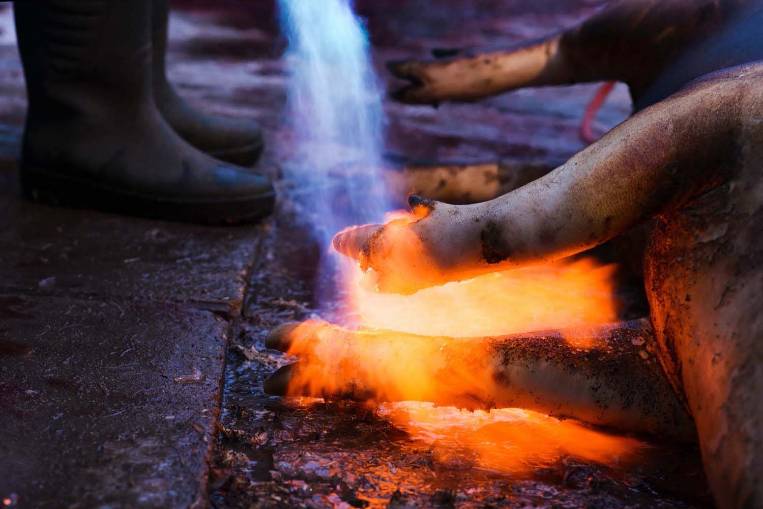 Mátyás Ildikó fotográfus vizsgaremek 