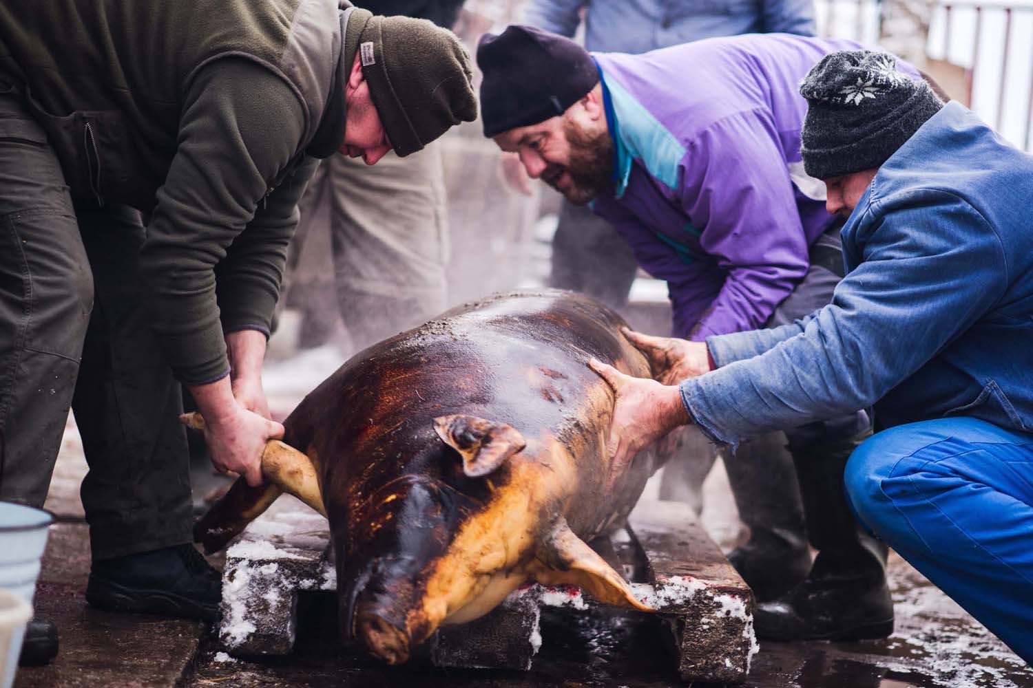 Mátyás Ildikó fotográfus vizsgaremek 