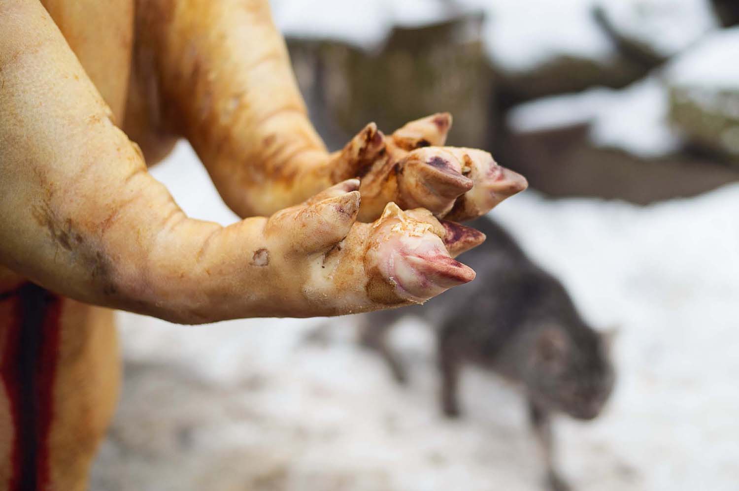 Mátyás Ildikó fotográfus vizsgaremek 