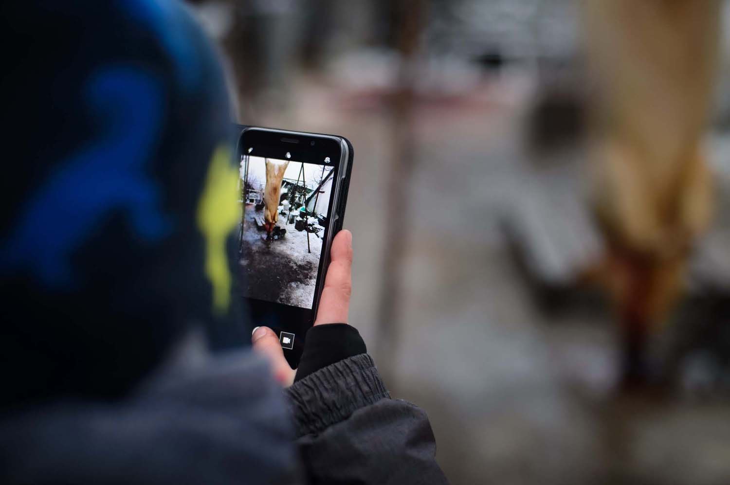 Mátyás Ildikó fotográfus vizsgaremek 