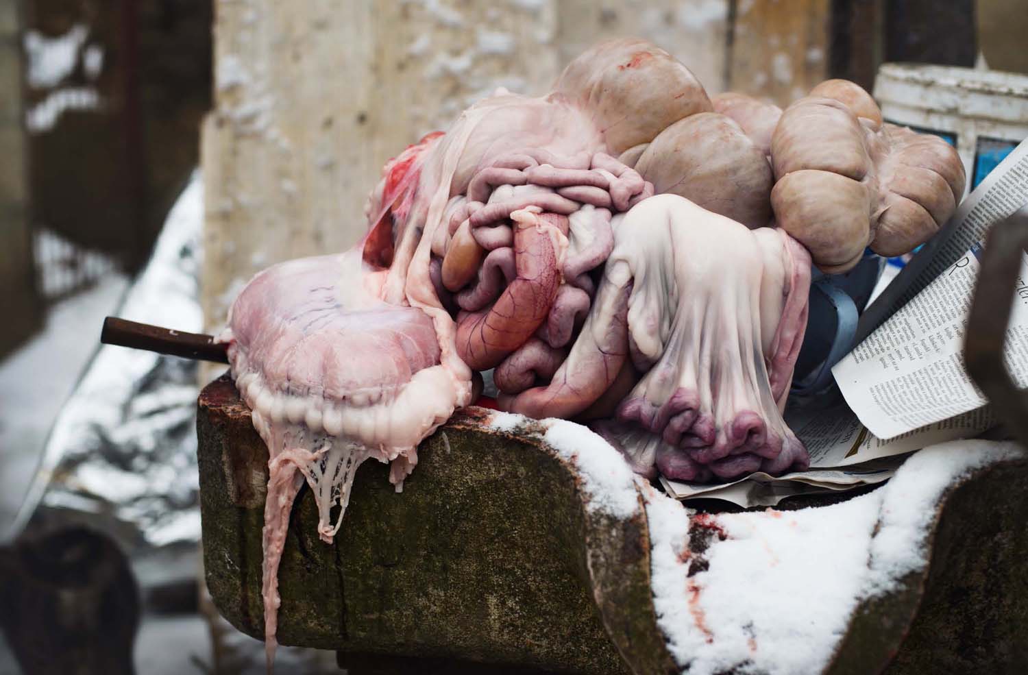 Mátyás Ildikó fotográfus vizsgaremek 