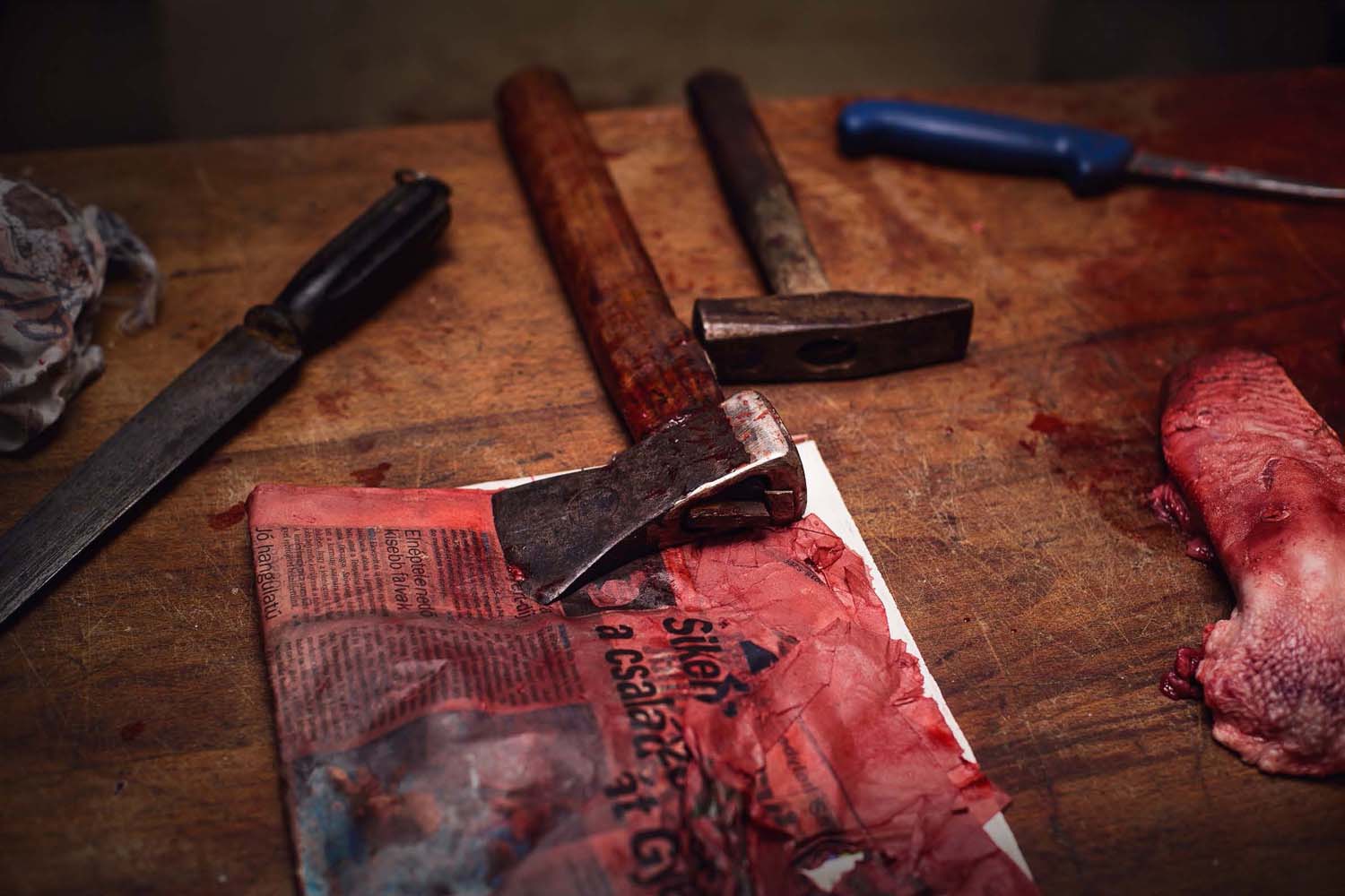 Mátyás Ildikó fotográfus vizsgaremek 