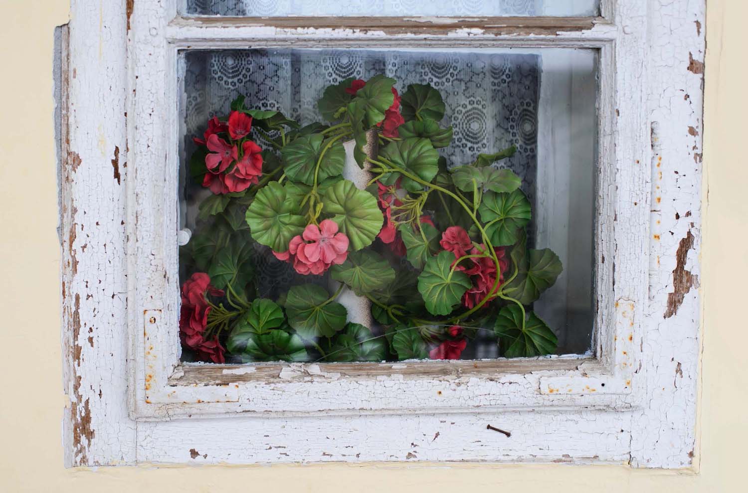 Mátyás Ildikó fotográfus vizsgaremek 