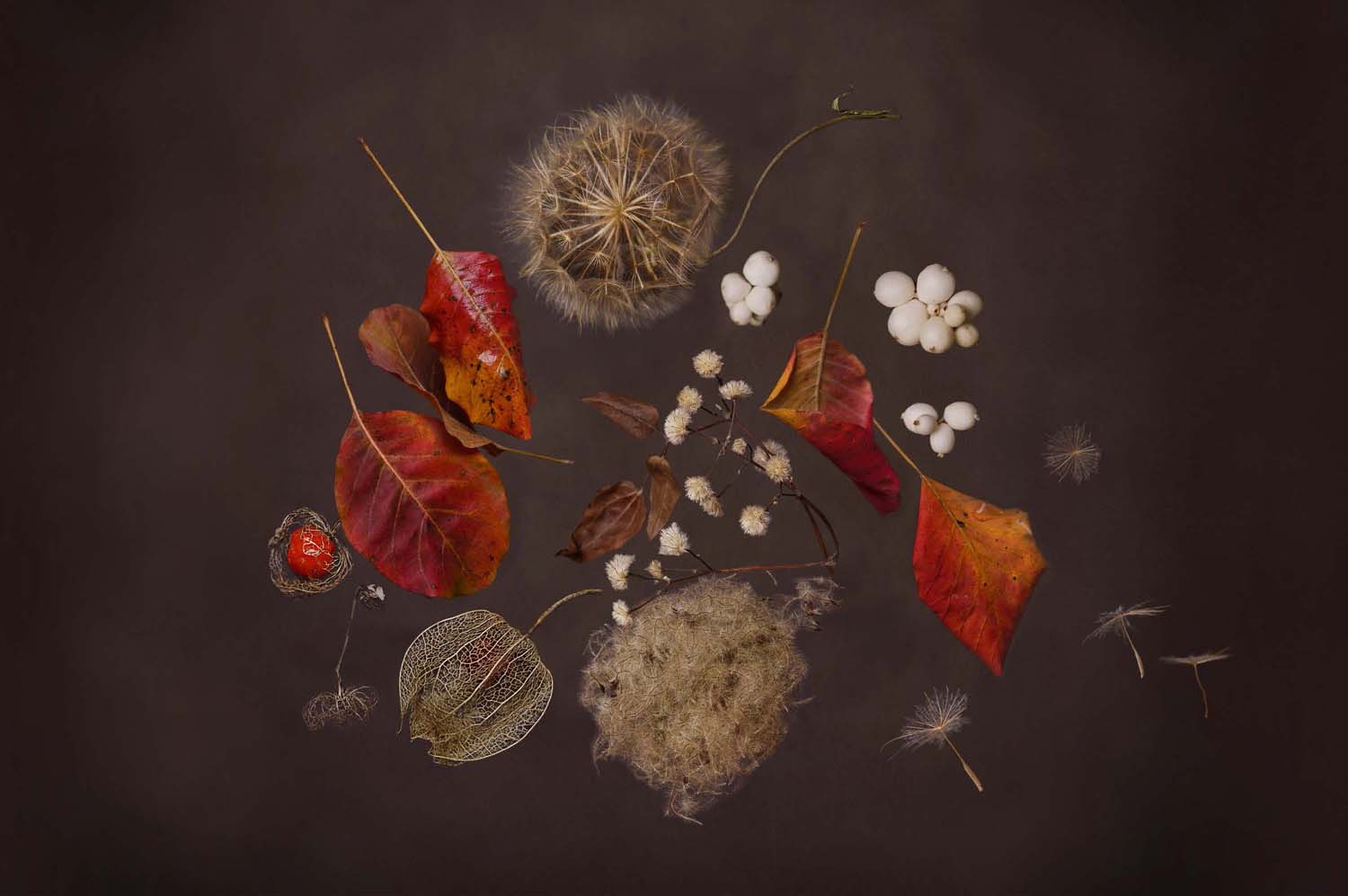 Mátyás Ildikó fotográfus vizsgaremek 