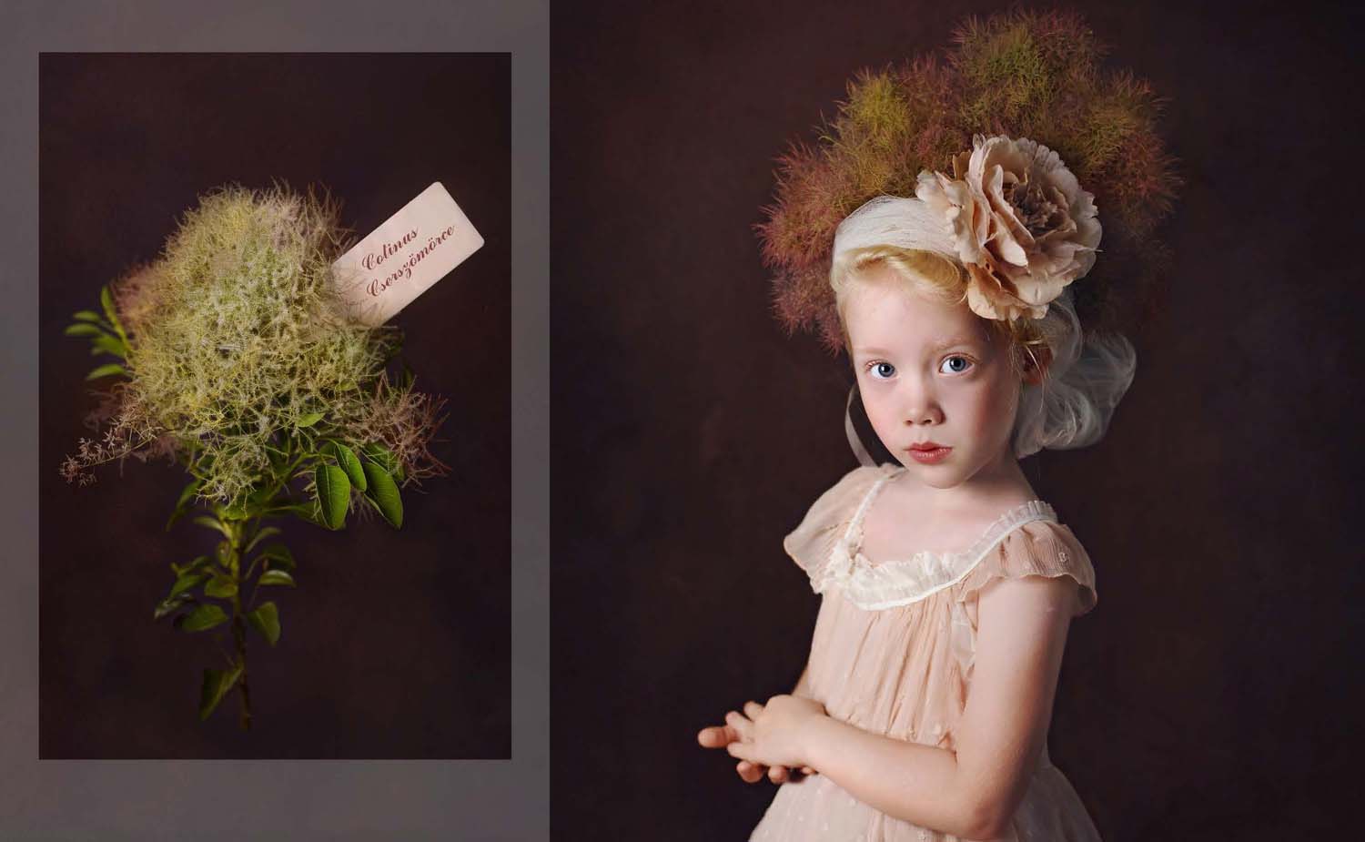 Mátyás Ildikó fotográfus vizsgaremek 