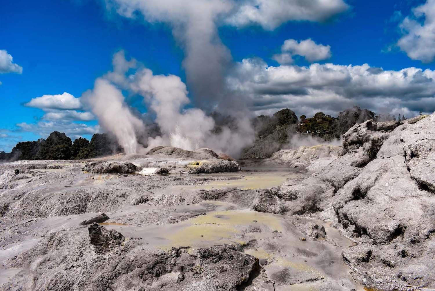 Réder Brigi fotográfus vizsgaremek 