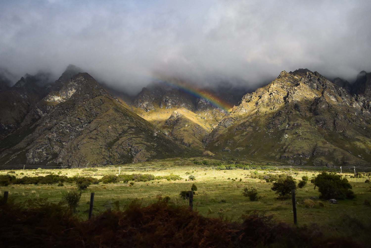 Réder Brigi fotográfus vizsgaremek 