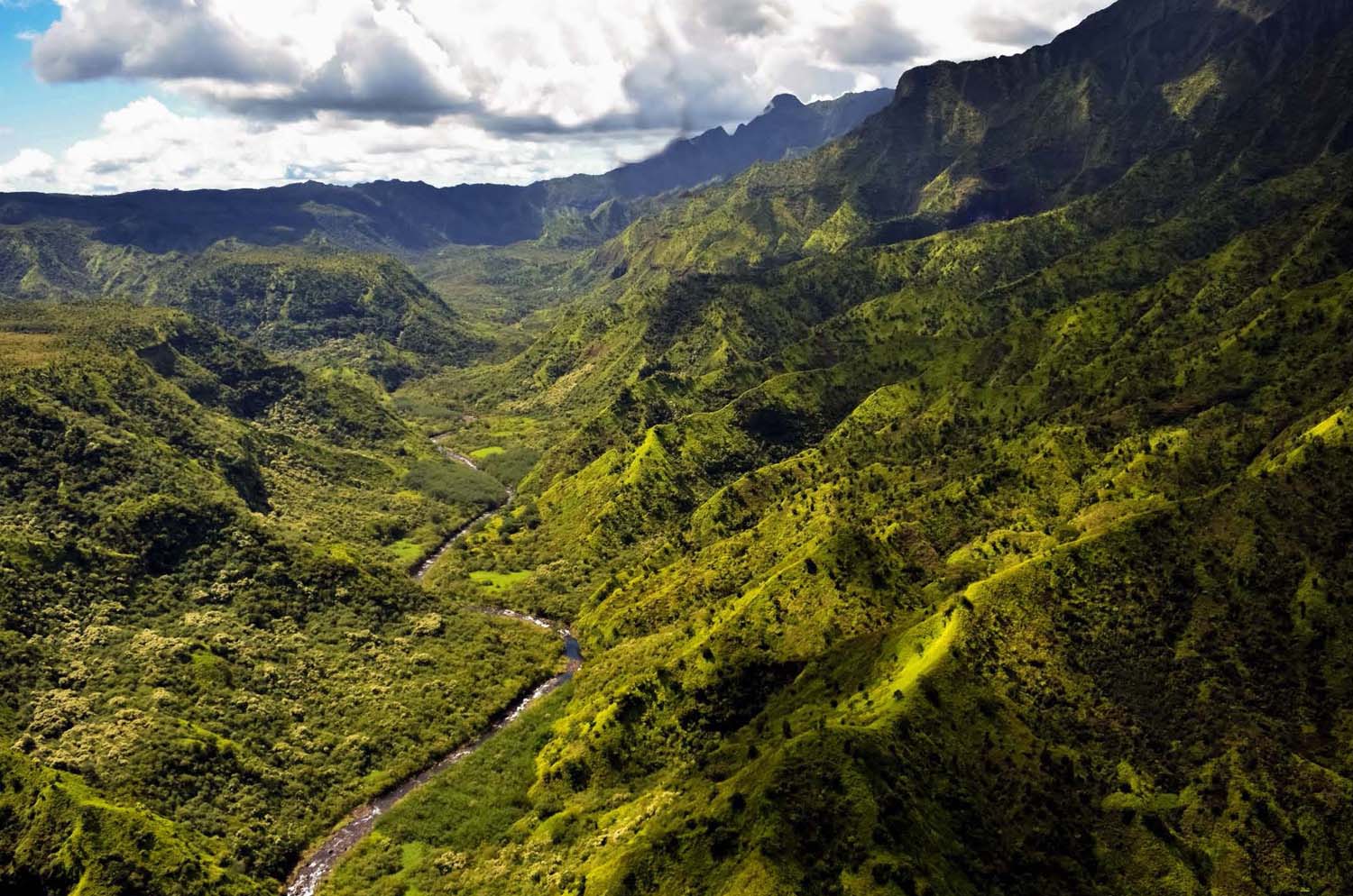 Réder Brigi fotográfus vizsgaremek 