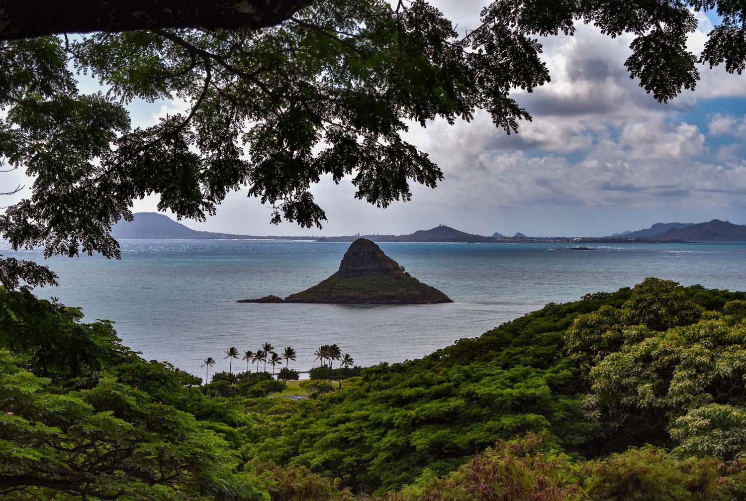 Réder Brigi fotográfus vizsgaremek 