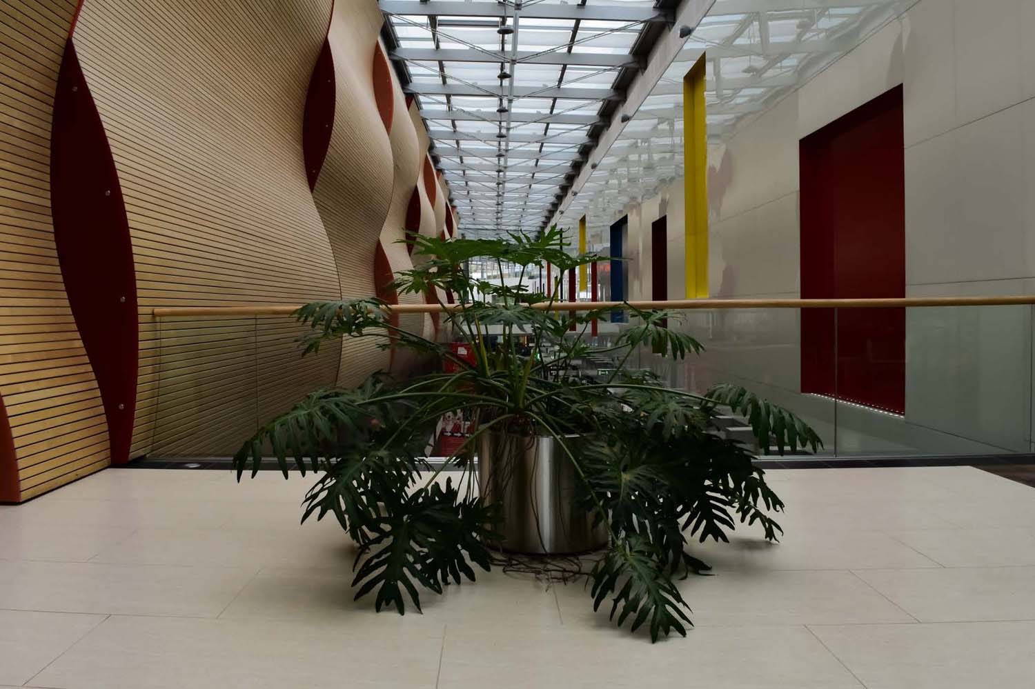 Réder Brigi fotográfus vizsgaremek 