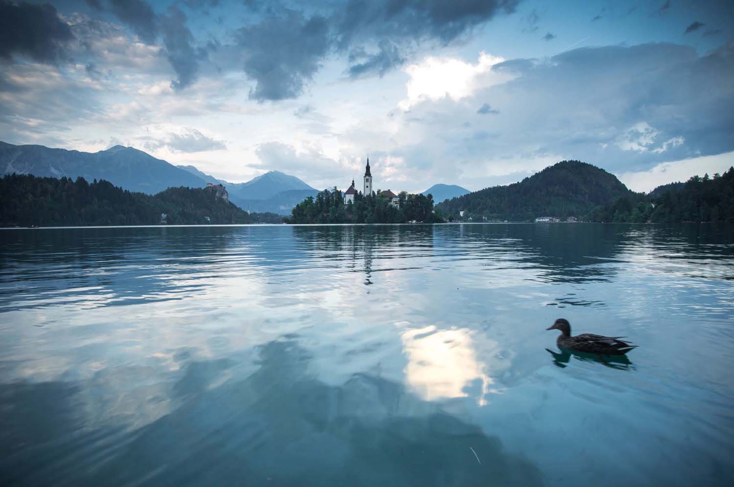 Simó Szabolcs fotográfus vizsgaremek 