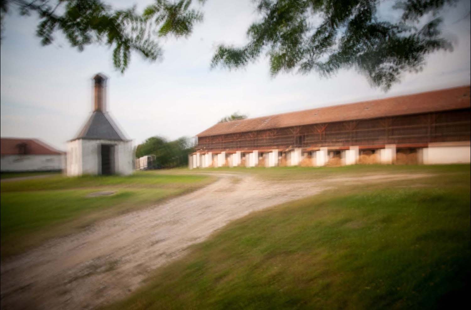 Simó Szabolcs fotográfus vizsgaremek 