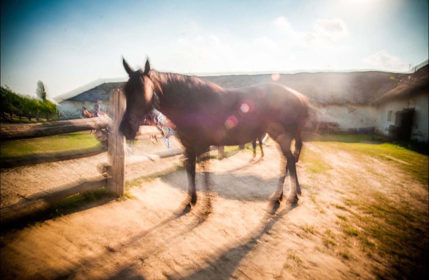 Simó Szabolcs fotográfus vizsgaremek 