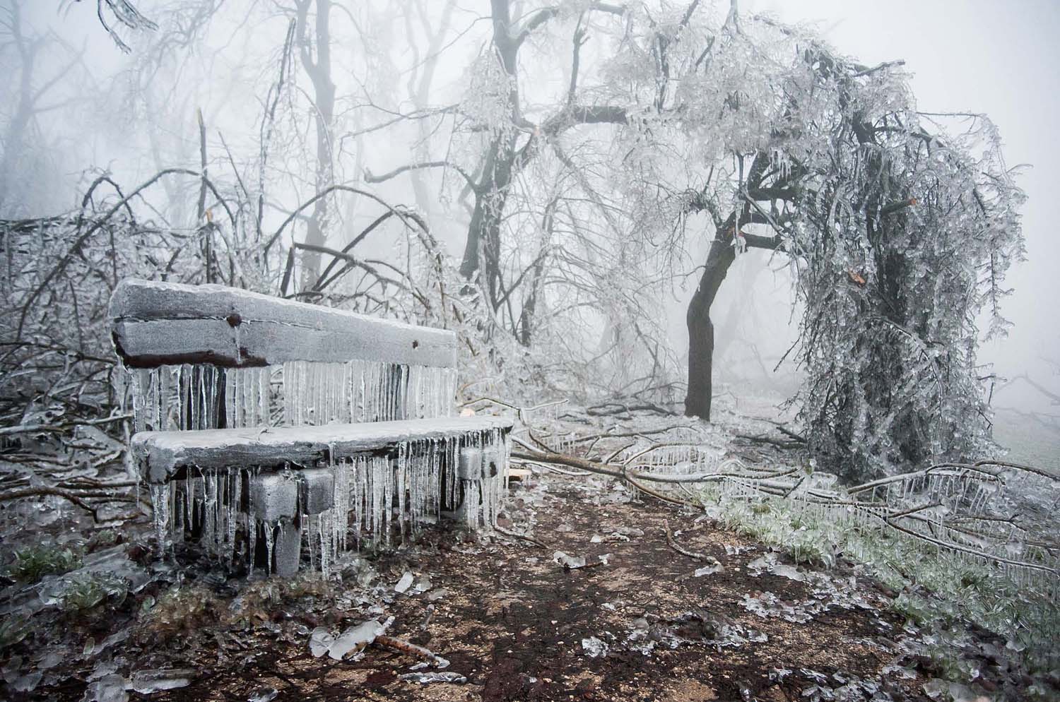 Simó Szabolcs fotográfus vizsgaremek 