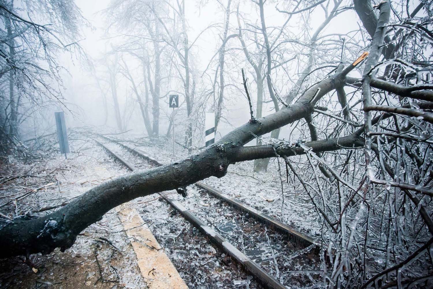 Simó Szabolcs fotográfus vizsgaremek 