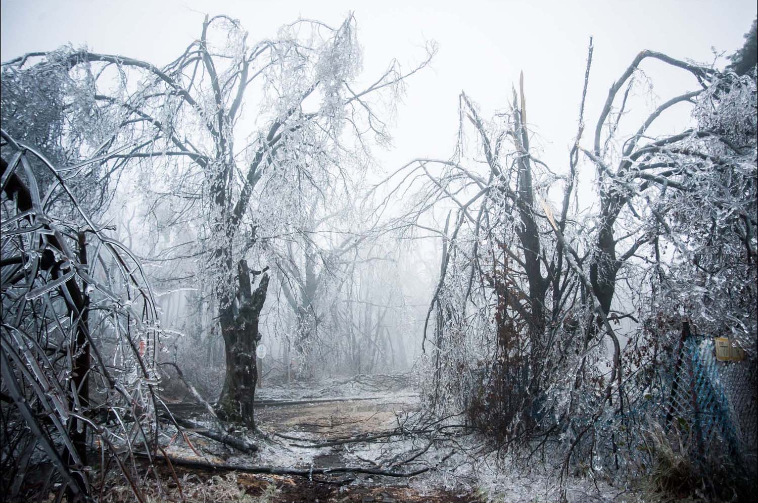 Simó Szabolcs fotográfus vizsgaremek 