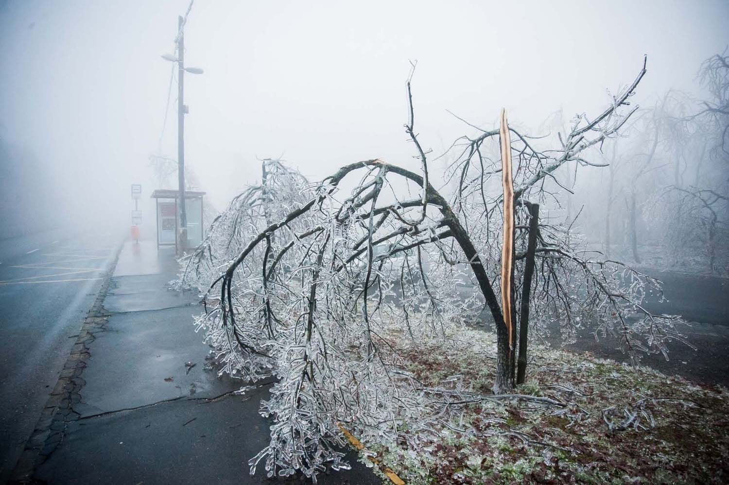 Simó Szabolcs fotográfus vizsgaremek 