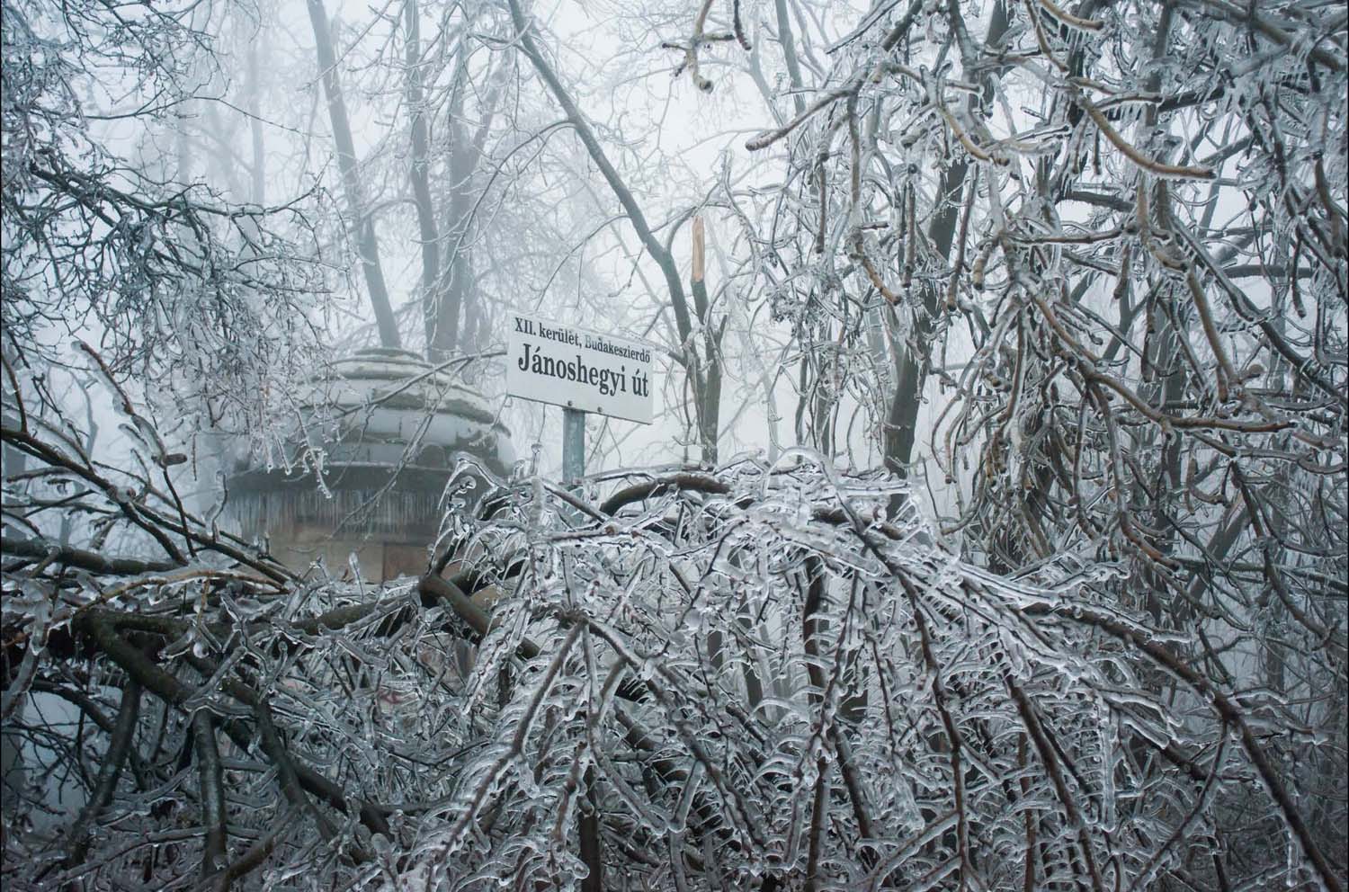 Simó Szabolcs fotográfus vizsgaremek 