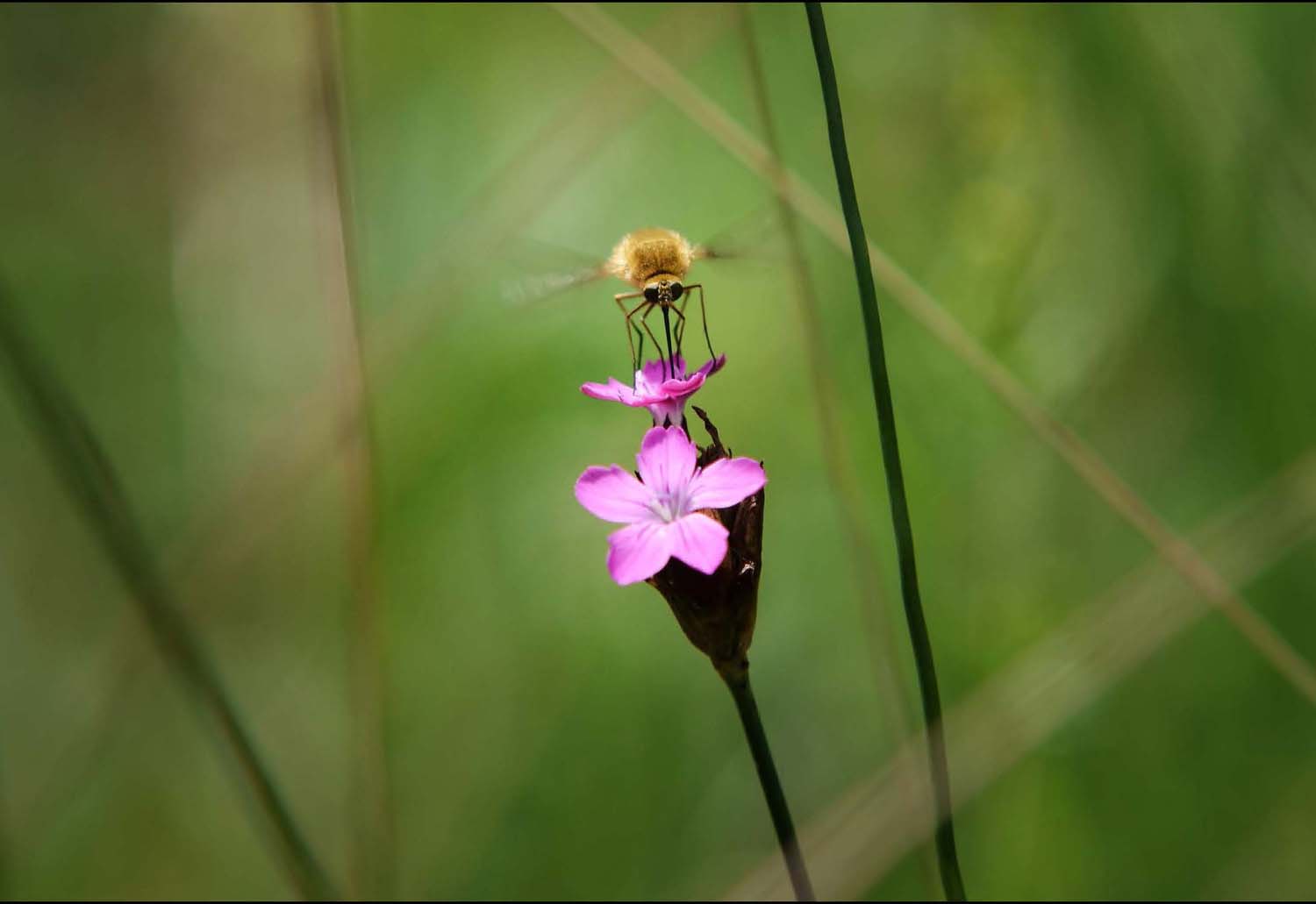 Simó Szabolcs fotográfus vizsgaremek 