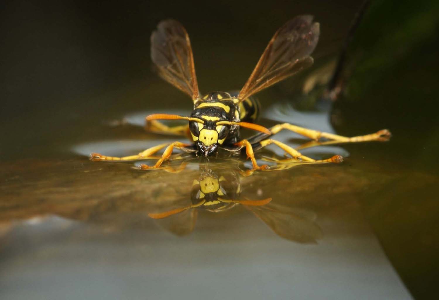 Simó Szabolcs fotográfus vizsgaremek 