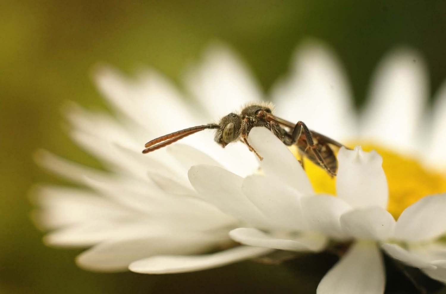 Simó Szabolcs fotográfus vizsgaremek 