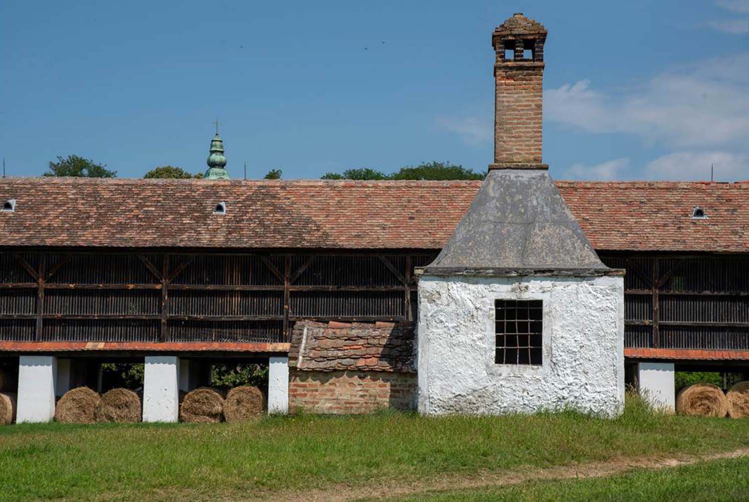 Stipkovits-Ábrány Nikoletta fotográfus vizsgaremek 