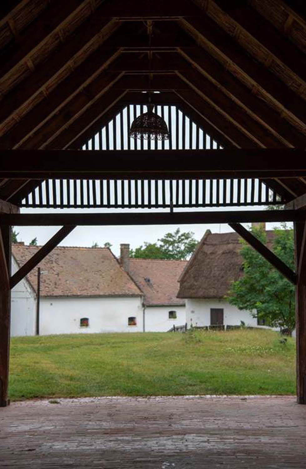 Stipkovits-Ábrány Nikoletta fotográfus vizsgaremek 