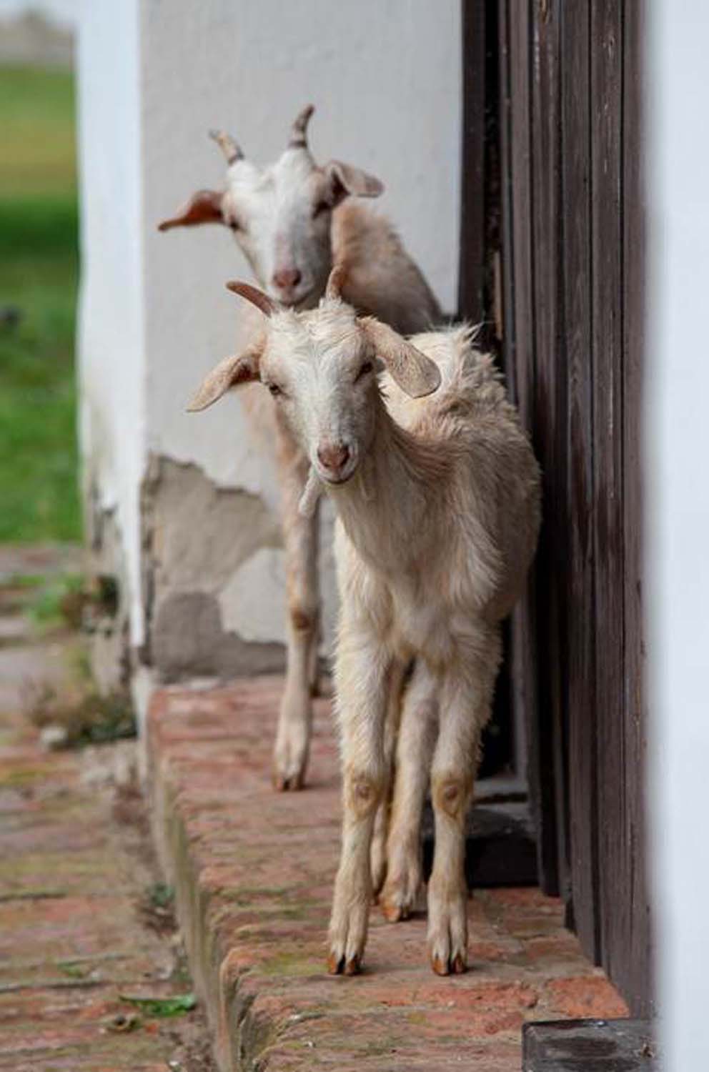 Stipkovits-Ábrány Nikoletta fotográfus vizsgaremek 